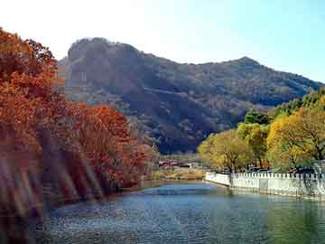 新澳天天开奖资料大全旅游团，矿物质粉